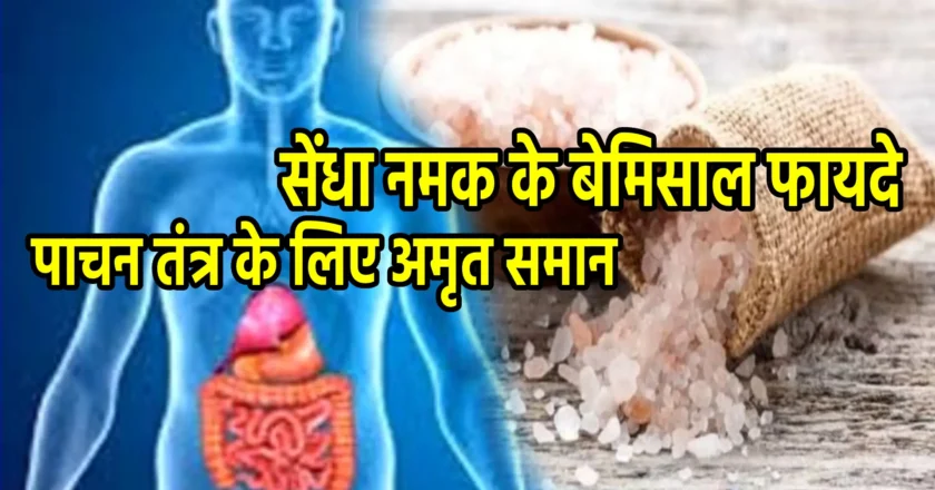 सेंधा नमक के बेमिसाल फायदे: सेहत के लिए क्यों है फायदेमंद?