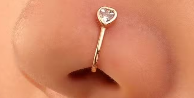 Nose Ring Design: ये नोज रिंग बढ़ाएंगे आपके चेहरे की सुंदरता, देखिये कुछ शानदार डिजाइन