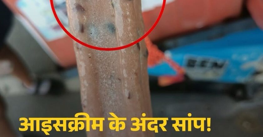 वायरल खबर: आइसक्रीम में निकला मरा सांप, सोशल मीडिया पर मचा बवाल
